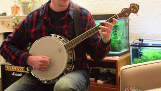 Home Ruler hornpipe  Tenor banjo [upl. by Ardnuyek]