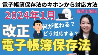 【最新】改正電子帳簿保存法！電帳法の基本、対応策から対応していない場合はどうなるか？について解説 [upl. by Eelegna452]