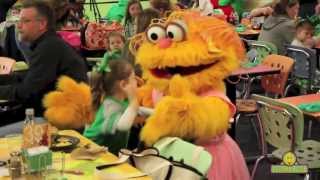 Sesame Street Character Celebrate St Patricks Day [upl. by Rolland213]