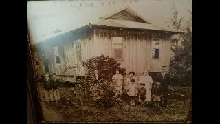 History of Okinawans in Hawaii [upl. by Japheth]