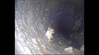 Sewer Inspection with Forbest 3188SD 65 ft Push Cable amp Video Recording Interior View Part 22 [upl. by Shaffer]