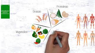 Predicen posibles efectos de una baja ingesta de alimentos en el funcionamiento corporal [upl. by Iggie420]