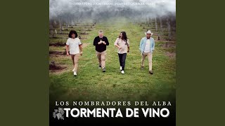 Tormenta de Vino [upl. by Farlay]