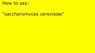 How to pronounce saccharomyces cerevisiae [upl. by Prior]