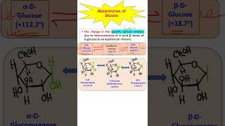 Mutarotation of Glucose neetbiology biochemistry biomolecules carbohydrates [upl. by Rochemont]