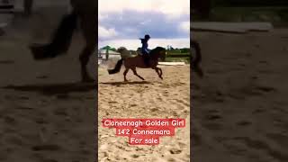 Showjumping  eventing pony with huge potential If you want to compete this is the one ponyforsale [upl. by Yrennalf926]