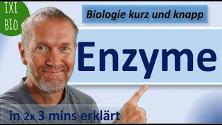 Enzyme  Alles Wichtige für das Abi in 2x3 Minuten einfach erklärt  Biologie kurz und knapp [upl. by Tichon858]