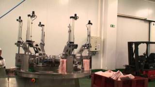 SIERRA FILETEADORA CMR 6  SI  BAND SAW FILLETER CMR 6  SI [upl. by Verda]