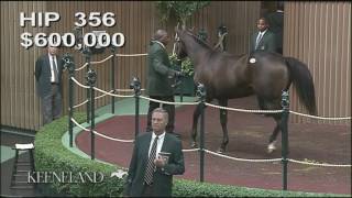 SpeightstownGeneral Consensus hip 356 at the Keeneland September Sale [upl. by Annoed539]