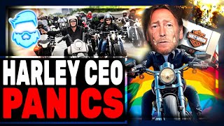 Harley Davidson WOKE CEO In HUGE Trouble This Isnt Going Away New Calls For His Firing [upl. by Castra801]