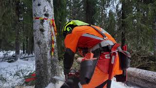 Huggning i Vemdalen och en liten glimt på Malwa 560c kombi [upl. by Amie]