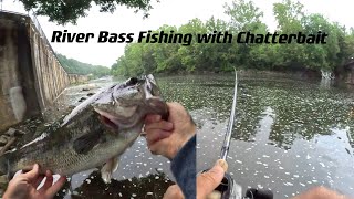 River Bass Fishing with Chatterbait  Bank Fishing [upl. by Navada]