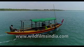 Aerial view of Sundarbans mangrove forests boat ride into swamplands along Ganges delta [upl. by Faso]