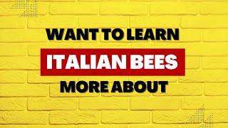 Why Beekeepers Most Often Chose Italian Honeybees [upl. by Alegnat]