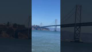 Alameda to San Francisco on the Ferry california ferry enjoylife selflove [upl. by Aikemot734]