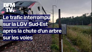 Le trafic interrompu sur la LGV SudEst après la chute dun arbre sur les voies [upl. by Naiva]