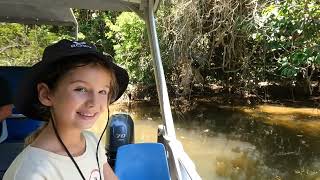 Daintree river crocodile cruise [upl. by Zel]