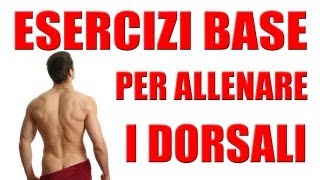 Esercizi DorsaliSchiena Semplici le Trazioni Orizzontali  Personal Trainer 43 [upl. by Anelegna169]