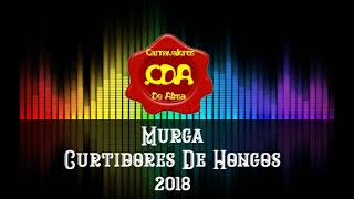 Murga Curtidores De Hongos 2018  Cancion Final Y Retirada [upl. by Dinse]