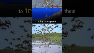 The Guide Tried To Escape The Bees 🐝 w zackdfilms terraria [upl. by Alilak]