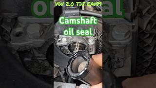 The EPIC life of a mechanic 89 shorts oilseal enginerepair [upl. by Garwin]