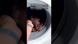 How To Clean Leather In A Washing Machine  A Drycleaner’s Guide laundry [upl. by Nitsa]