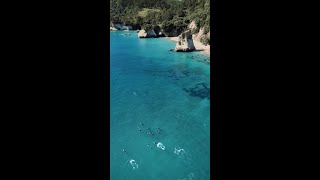 Hahei Explorer Coromandel New Zealand 🚤 [upl. by Algie]