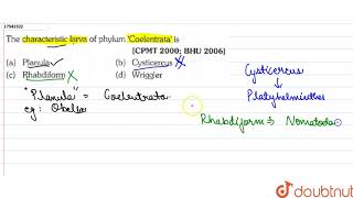 The characteristic larva of phylum Coelentrata is [upl. by Wons885]