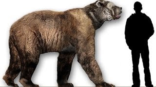 10 Unbelievable Animals that coexisted with humans  Prehistoric Beasts [upl. by Saenihp519]