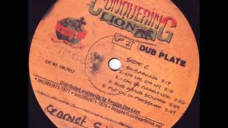 Garnett Silk  Skylarking Conquering Lion dubplate remix [upl. by Einahpehs756]