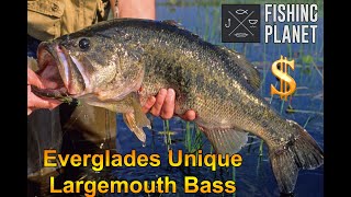 Fishing Planet Florida Everglades unique Largemouth Bass [upl. by Nylram674]