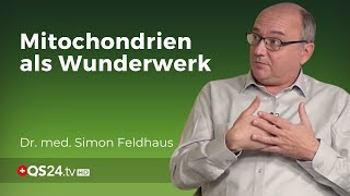 Mitochondrien und ihre Funktionsfähigkeit  Dr med Simon Feldhaus  NaturMEDIZIN  QS24 [upl. by Klaus]