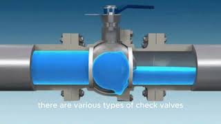 How Check valves works [upl. by Behm]