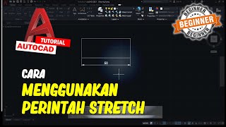 AutoCAD Cara Menggunakan Perintah Stretch [upl. by Ttelracs936]