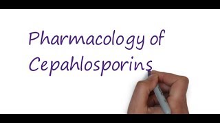 Pharmacology of cephalosporin [upl. by Sudnor400]