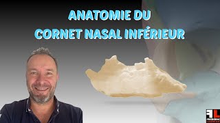 Anatomie du Cornet Nasal Inférieur [upl. by Okika16]