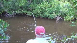 Fishing the Chartreuse Dahlberg Diver Fly [upl. by Henig]