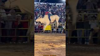 TORAZO ES EL BERLÍN DE LOS DESTRUCTORES🐂🔥🔥 jaripeo shorts [upl. by Tierney]