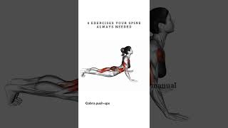 4 Exercises to Fix Your Spine for Good [upl. by Werdna734]