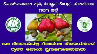 Doubling of farmers income through Cashewnut Cultivation in dryland [upl. by Molahs]