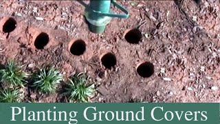 How To Plant Groundcovers  Dwarf Mondo Vinca Minor Periwinkle and pachysandra [upl. by Nitsej]