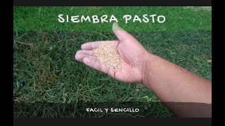 COMO SEMBRAR PASTO SEMILLA PARA JARDÍN [upl. by Aker]