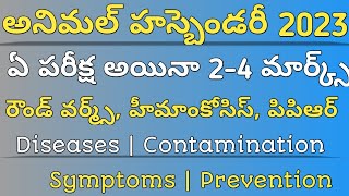 Animal Husbandry 2023 Classes  PPR Diseases  heemancosis  Round worm diseases and treatment [upl. by Eiloj]