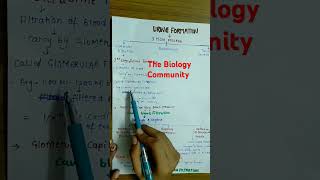 URINE FORMATIONCLASS 11 excretoryproductsamptheireliminationbioneetcbsehumanphysiologyshortsyt [upl. by Dominic]