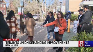 New Haven tenants union demands action [upl. by Eiba]