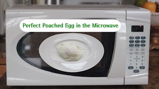 How to Make a Perfect Poached Egg in the Microwave Poached Egg Recipe [upl. by O'Doneven]