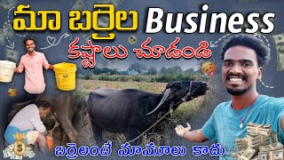 బర్రెలతో Business మామూలుగా ఉండదు🥵🐃🔥మా ఆశలు మా గోసలు😇😴villagemilkfarmyoutubevideotrendingvideo [upl. by Neetsuj545]