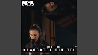 Dragostea din tei Live Session [upl. by Noellyn71]