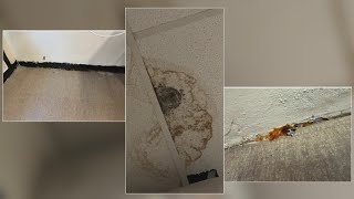 Parents concerned about mold at elementary school in Lafourche Parish [upl. by Sophy]