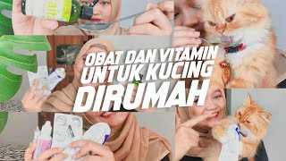 6 Obat dan Vitamin Kucing yang wajib Kita Sediakan Dirumah [upl. by Mccurdy]